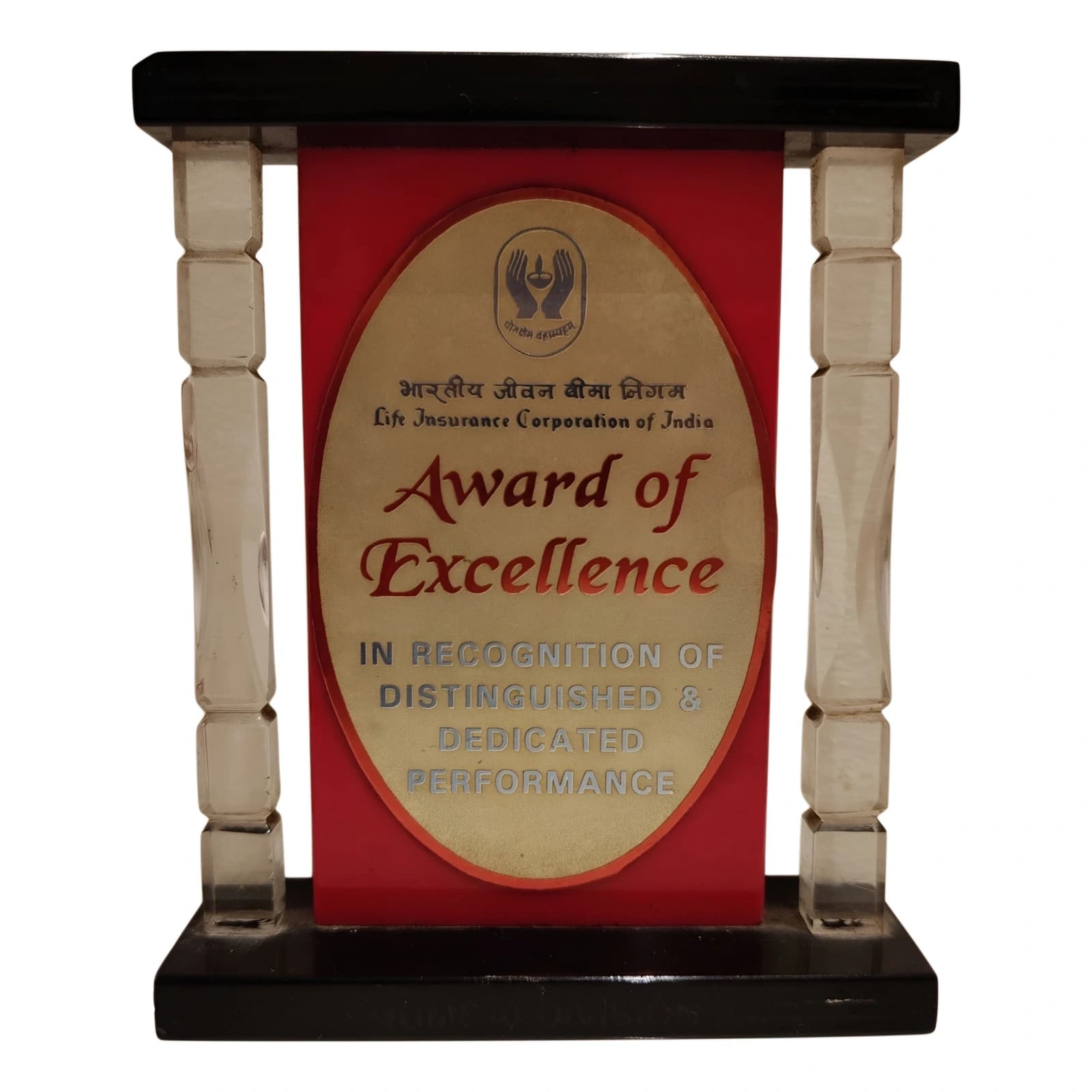 Award of Excellence - Swimwell Pools Award & Recognition