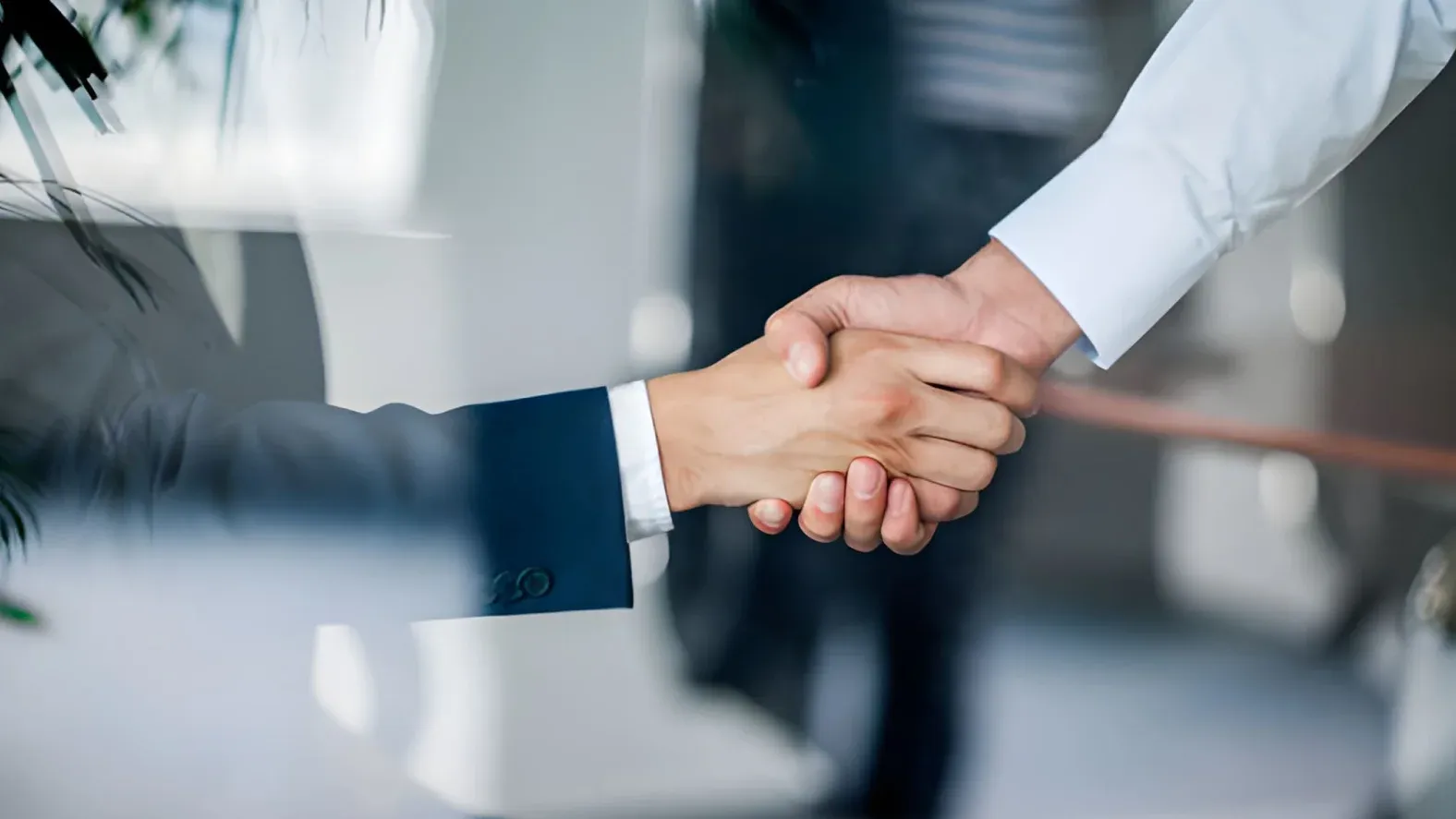 Swimwell Expands International Footprint With New Company In UAE